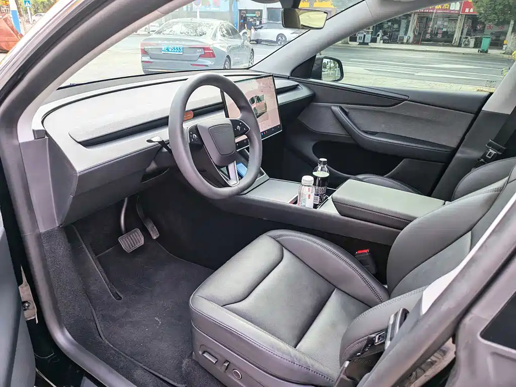 Tesla Model Y — миниатюра 5