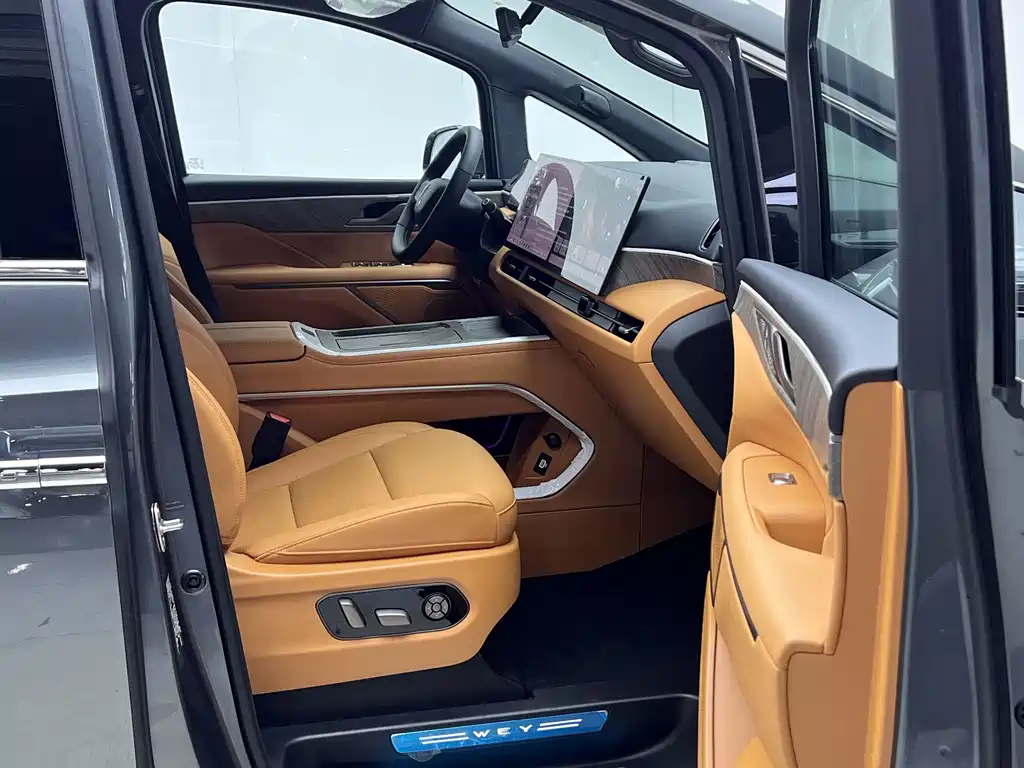 Wey Wey Gaoshan New Energy — миниатюра 16