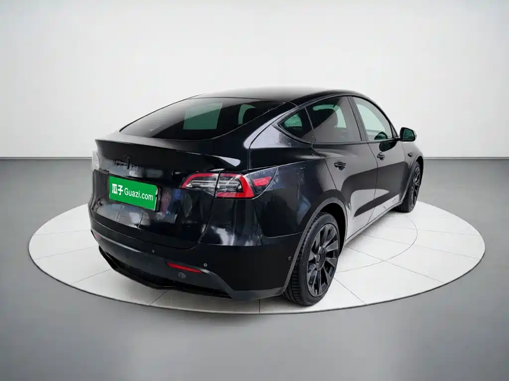 Tesla Model Y — миниатюра 6