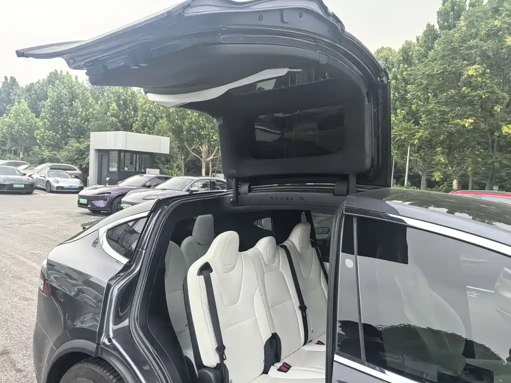 Tesla Model X — фотографии объявления, Фото 11