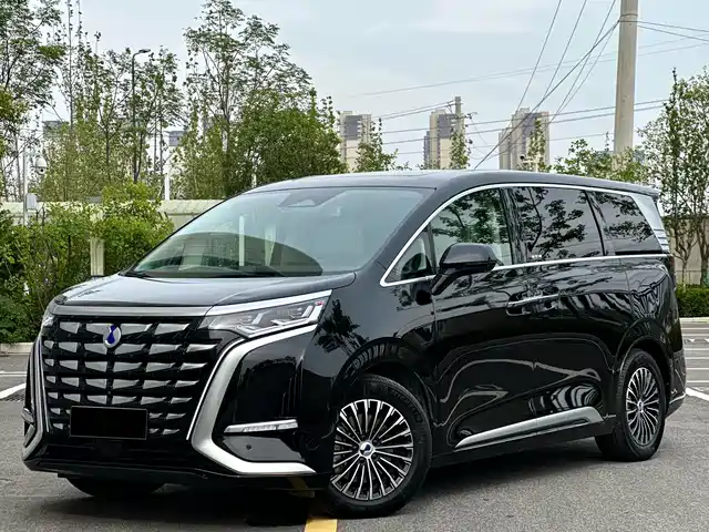2024 Denza D9