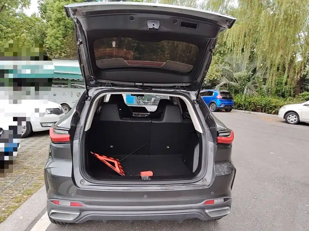 Oshan Oushang X5 — миниатюра 19