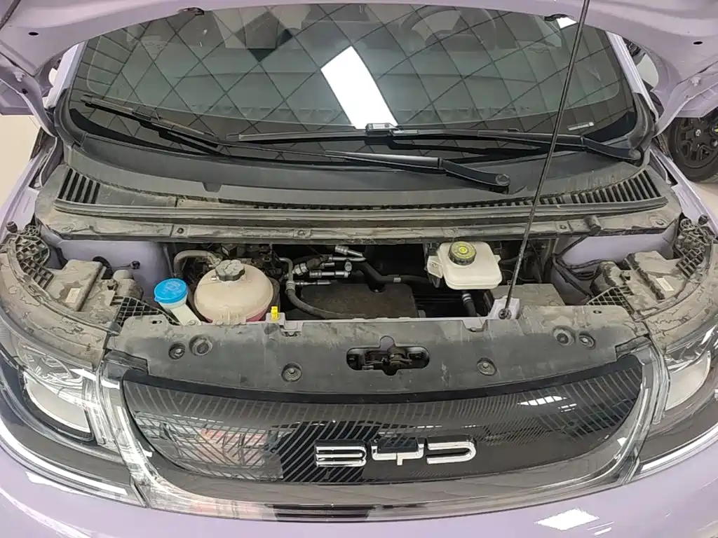 BYD Dolphin — миниатюра 20