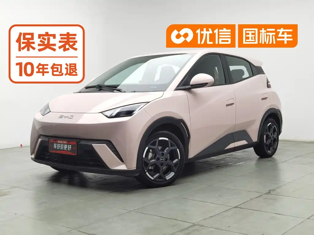 BYD Seagull