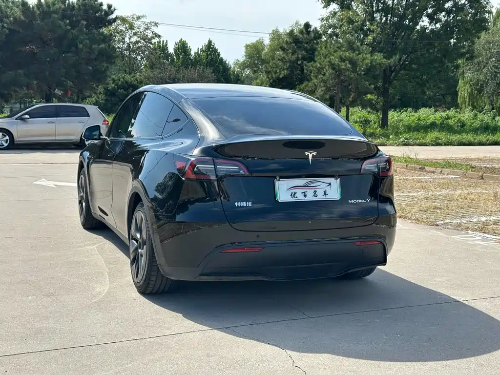 Tesla Model Y — миниатюра 4