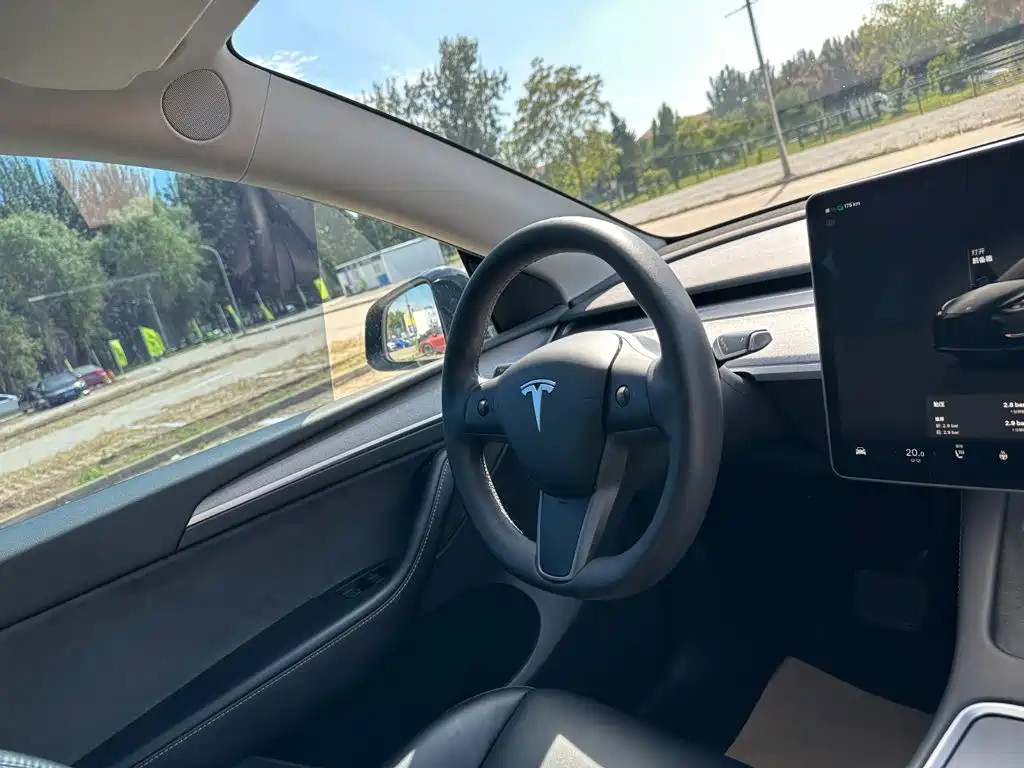 Tesla Model Y — миниатюра 18