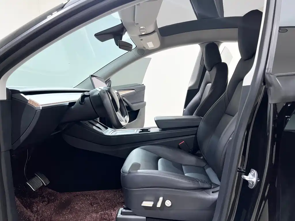 Tesla Model Y — миниатюра 7