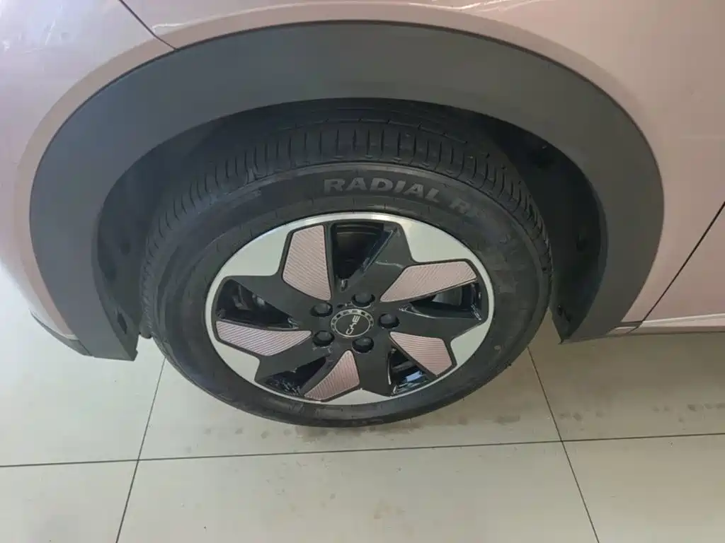 BYD Dolphin — миниатюра 23