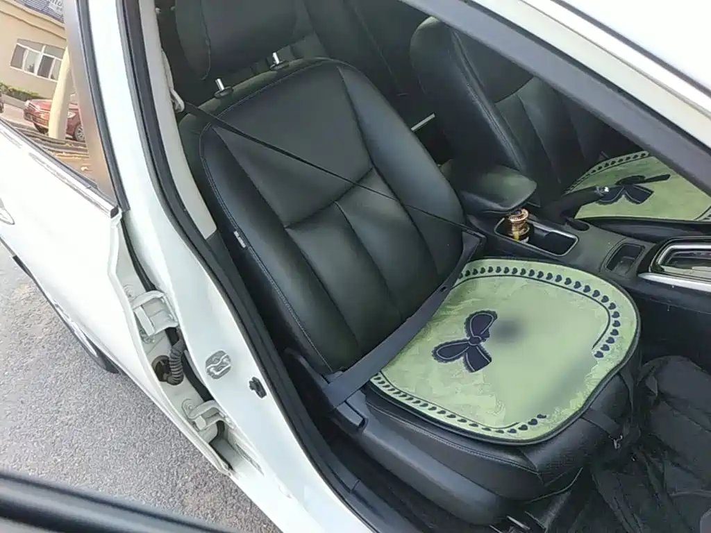 Nissan Sylphy — миниатюра 25