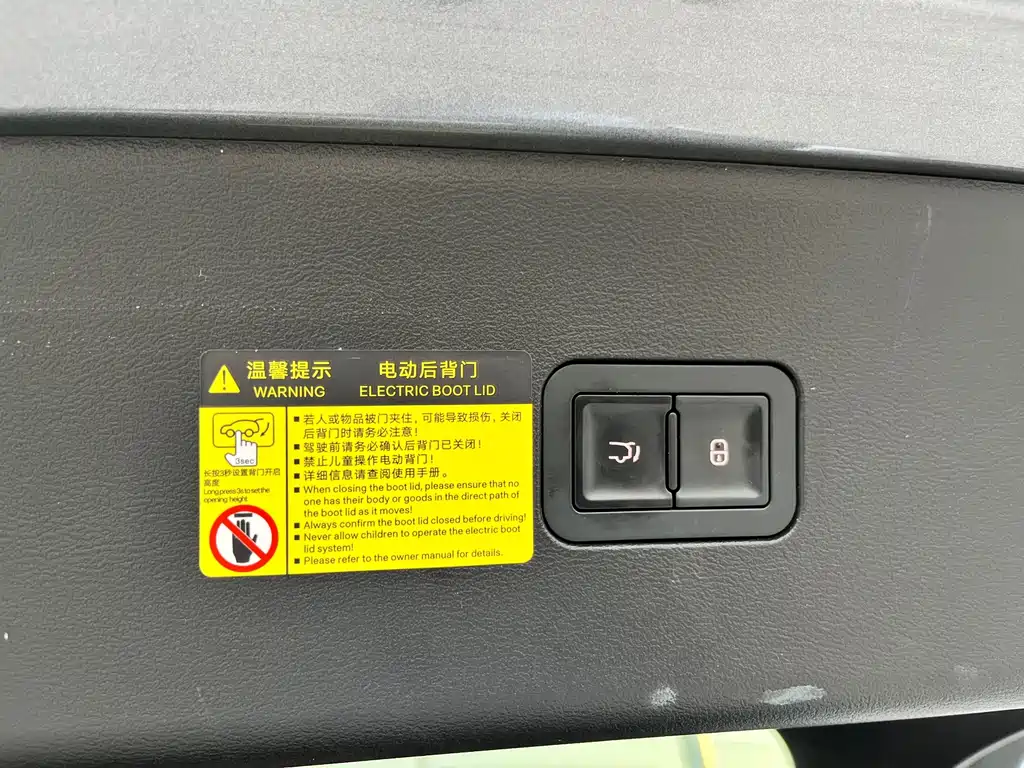 BYD L EV — миниатюра 18