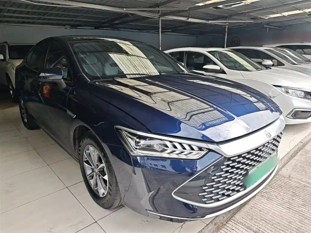 BYD Qin Plus PLUS 2024 DM-i 55KM Lead