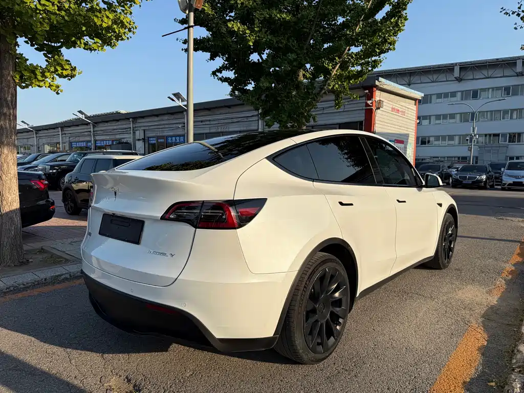 Tesla Model Y — миниатюра 13