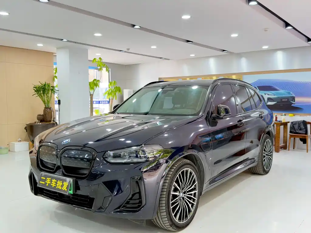 BMW iX3 2021