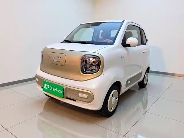 2024 Bestune Pony