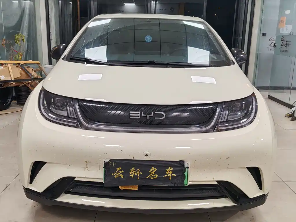 BYD Dolphin — миниатюра 2