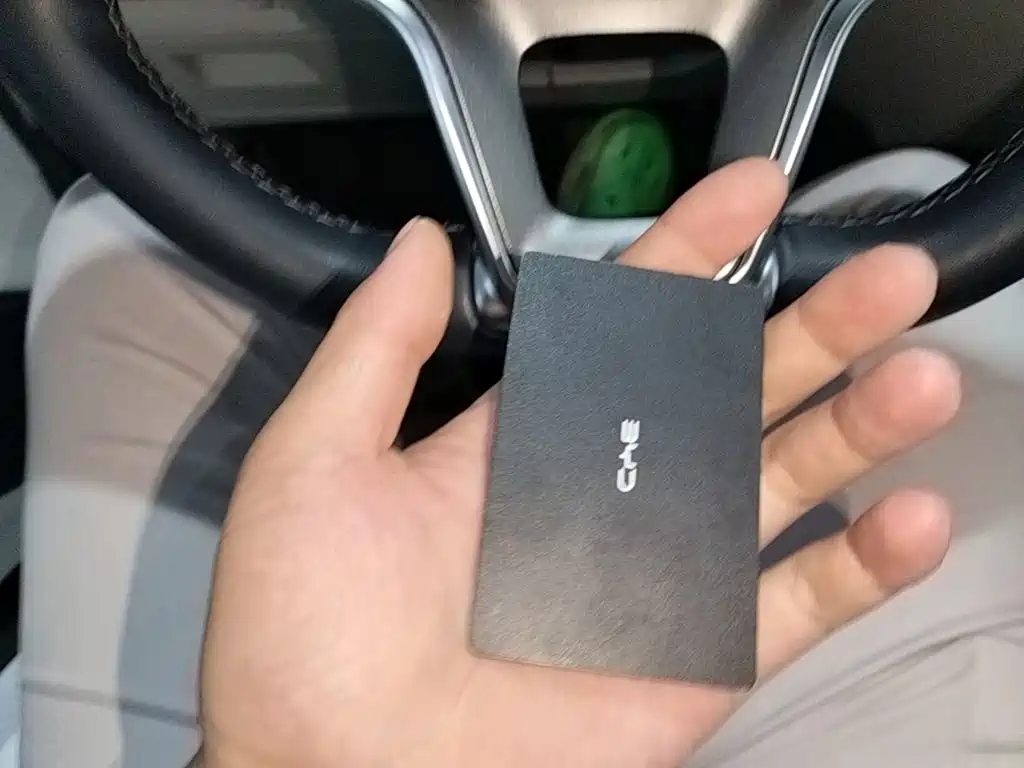 BYD PLUS New Energy — миниатюра 9