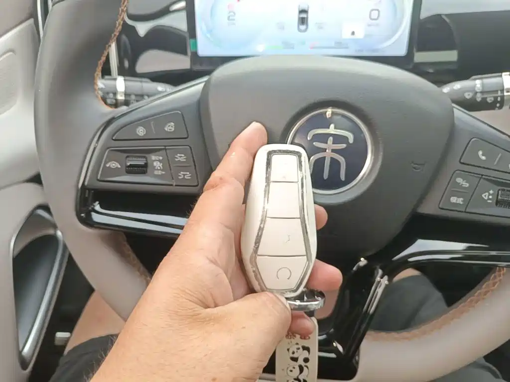 BYD Pro New Energy — миниатюра 9