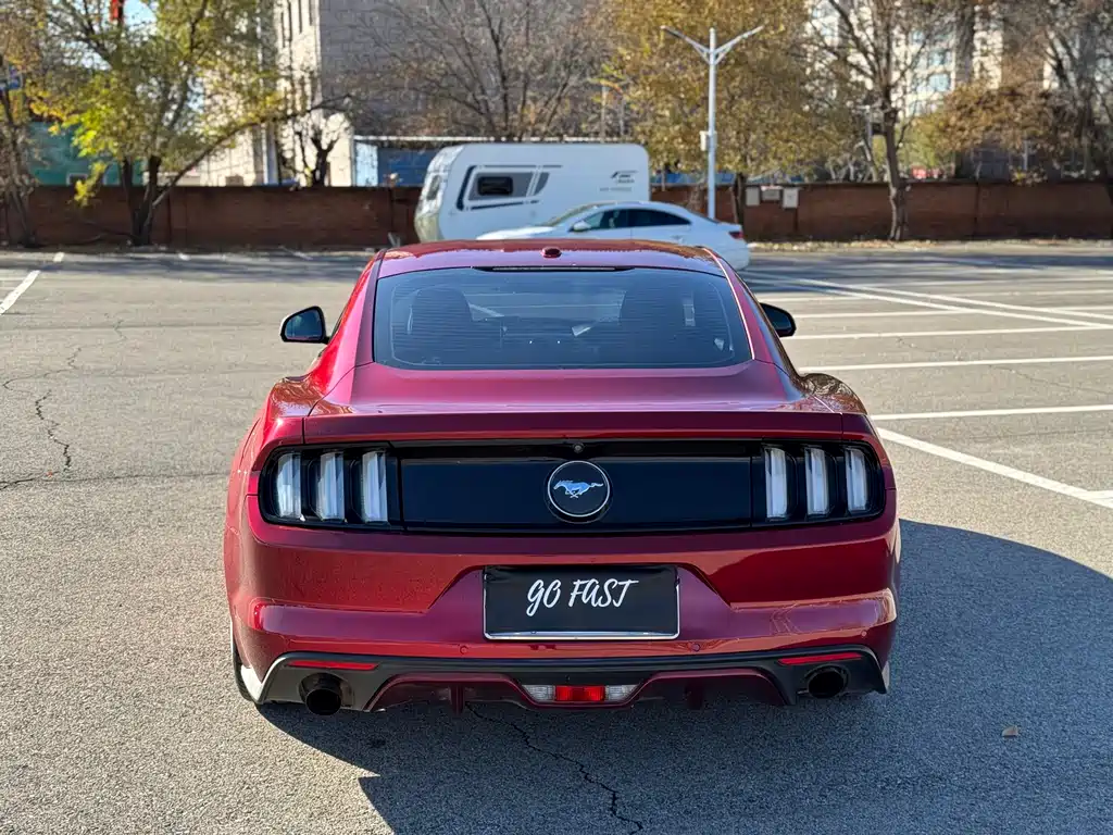 FORD MUSTANG