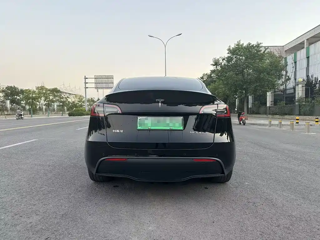 Tesla Model Y — миниатюра 4