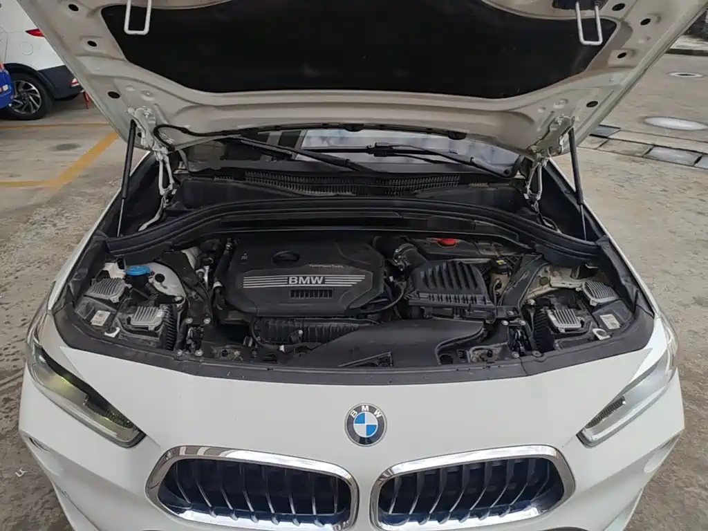 BMW X2 (Import) — миниатюра 20