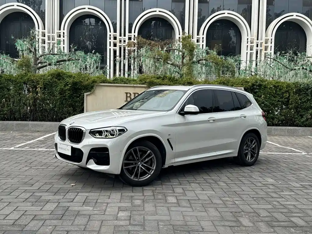 BMW X3 — миниатюра 2