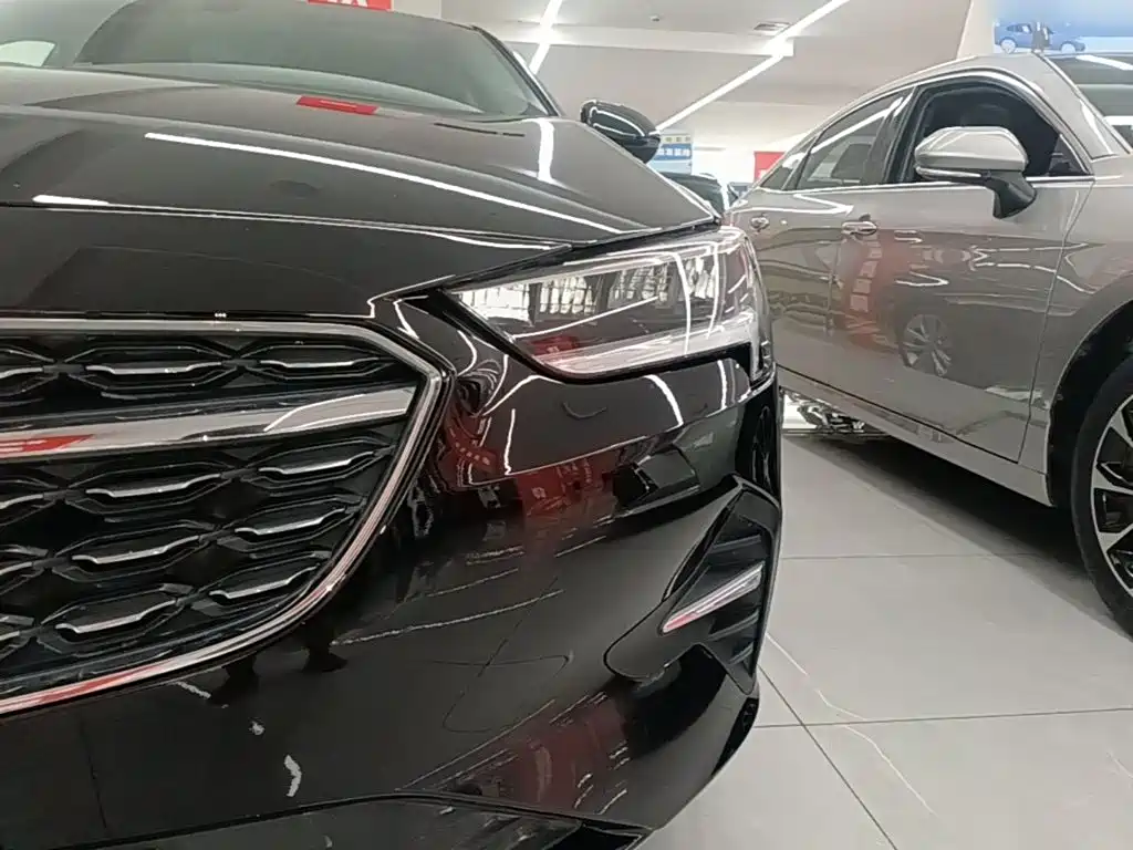 Buick Regal — миниатюра 24