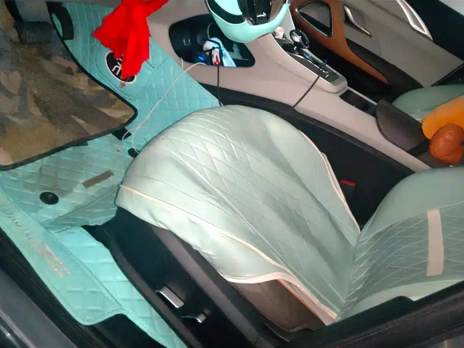 BYD SONGJIANG NEW ENERGY