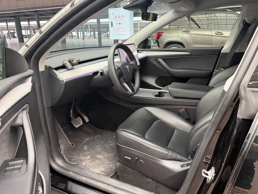 Tesla Model Y — миниатюра 4