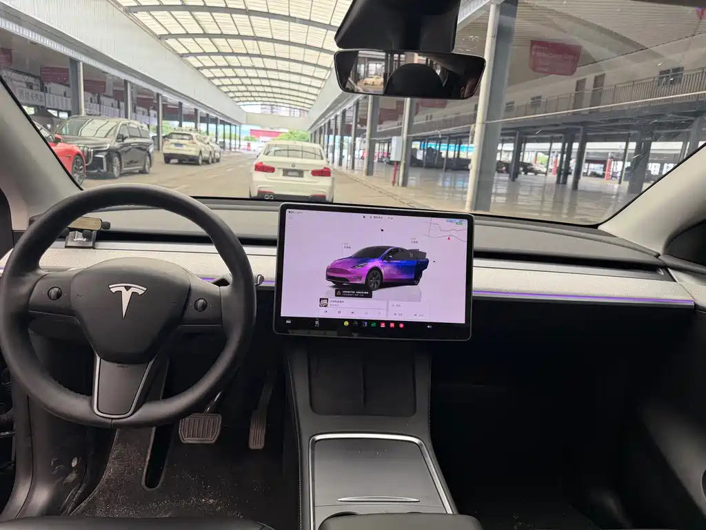 Tesla Model Y — миниатюра 6