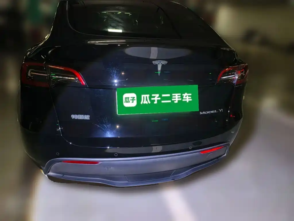 Tesla Model Y — миниатюра 3