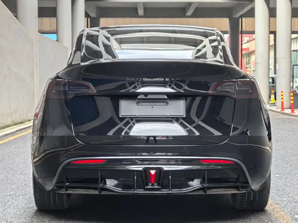 Tesla Model Y — миниатюра 4