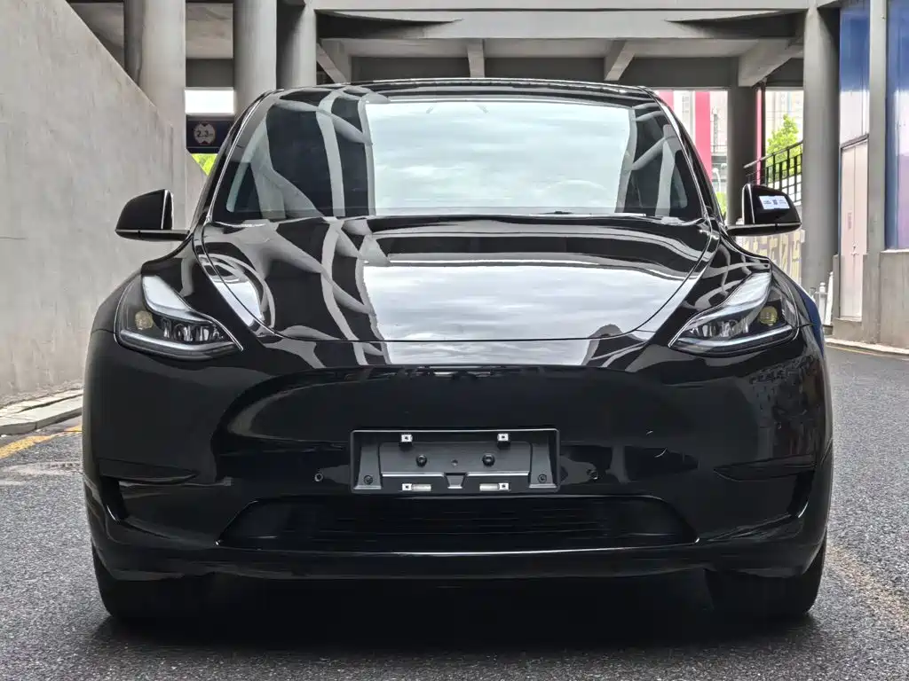 Tesla Model Y — миниатюра 2