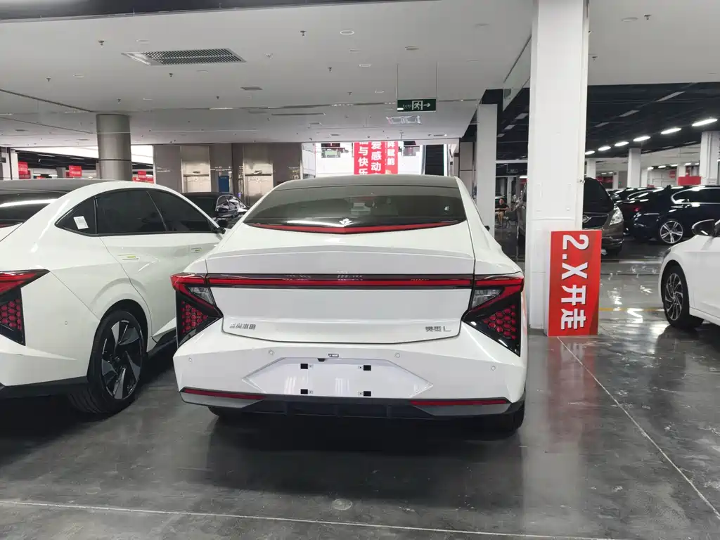 Lingxi Lingxi L — миниатюра 3