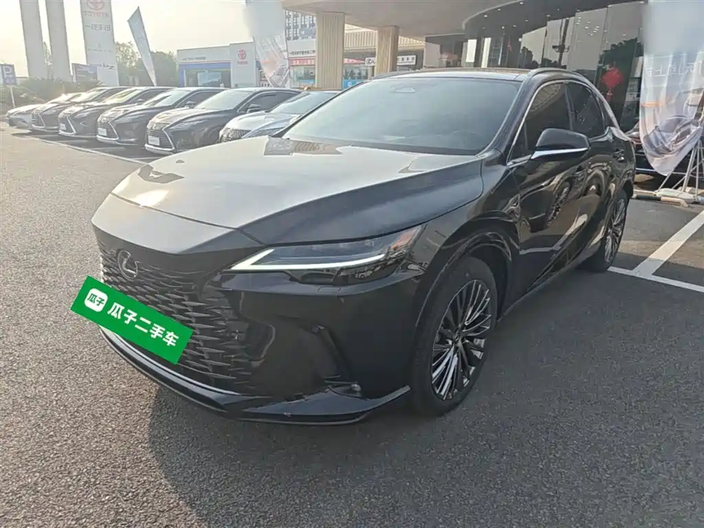 Lexus RX New Energy 2024