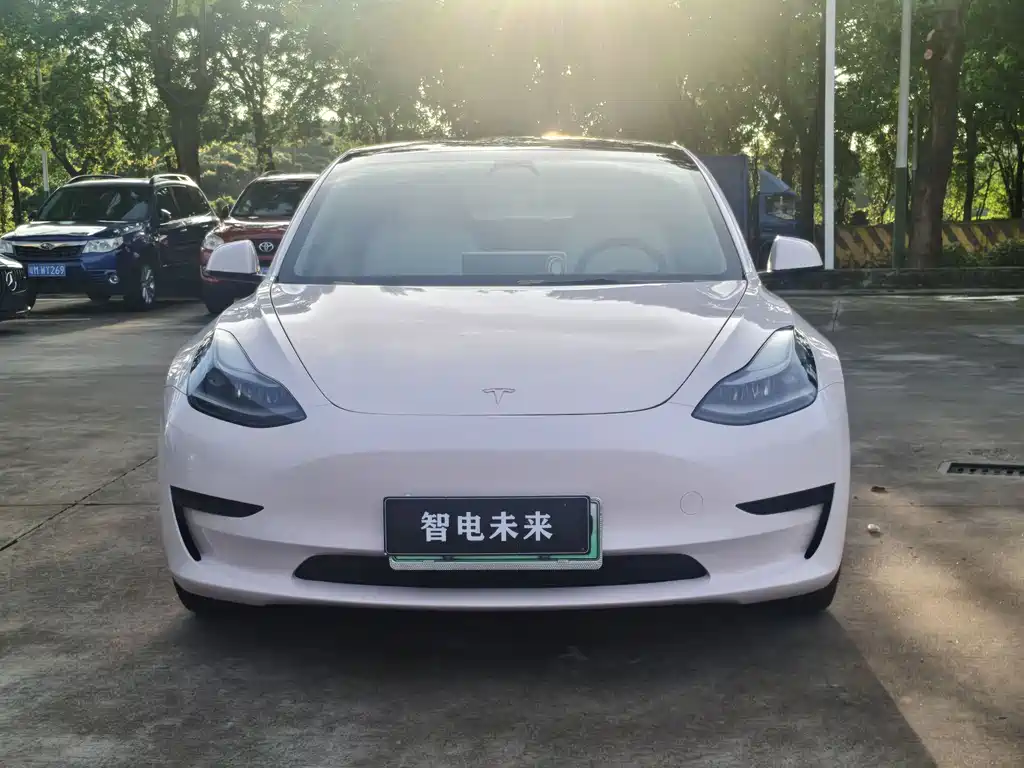 Tesla Model 3 — миниатюра 3