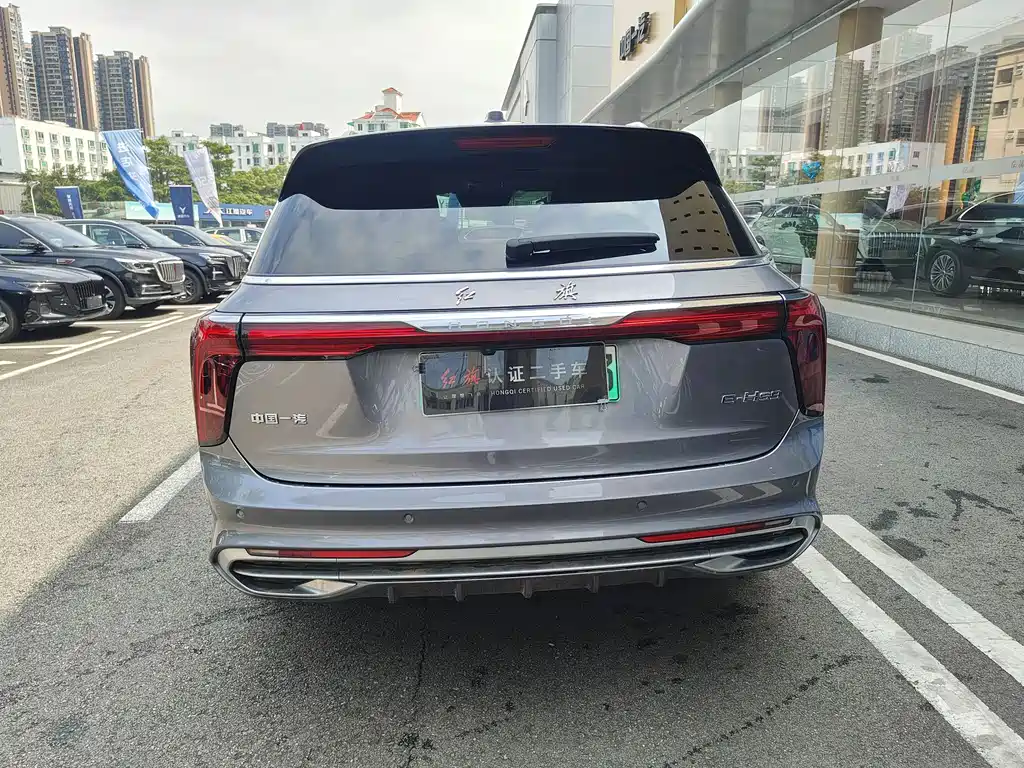 Hongqi E-HS9 2022 690km мест