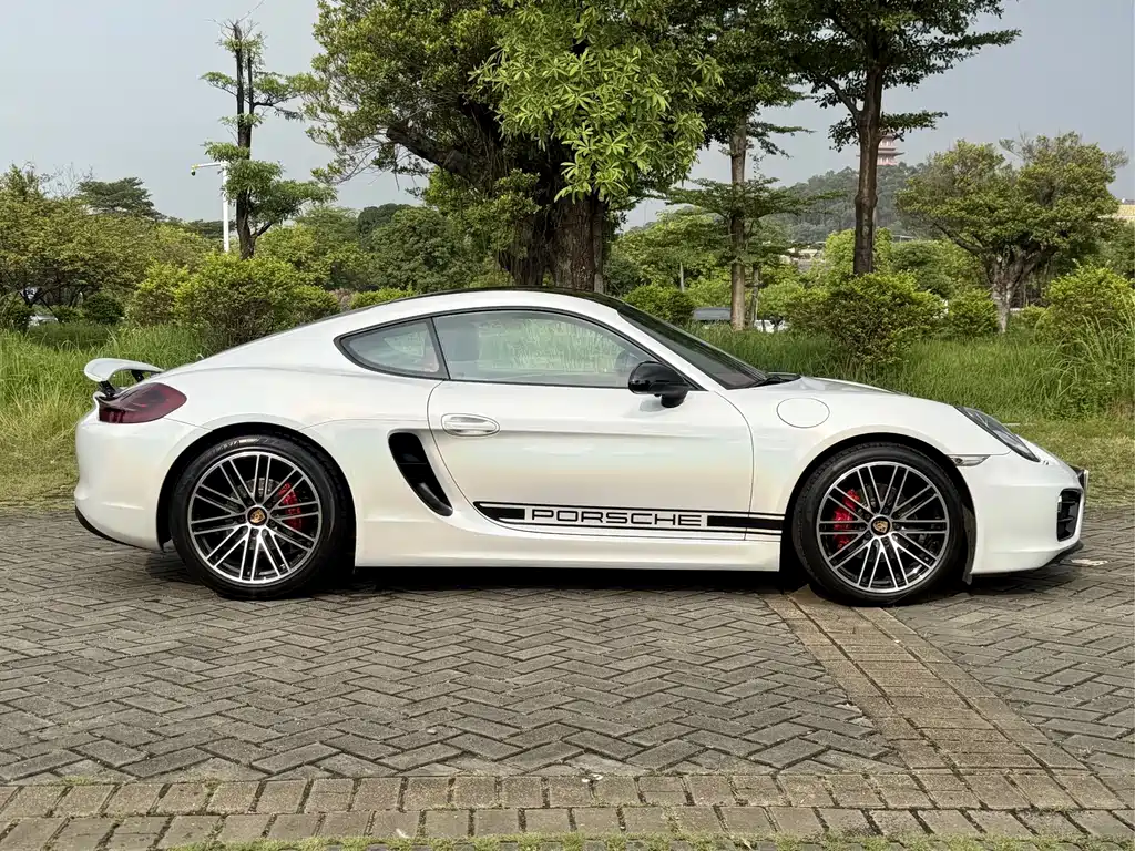 Porsche Cayman — миниатюра 13