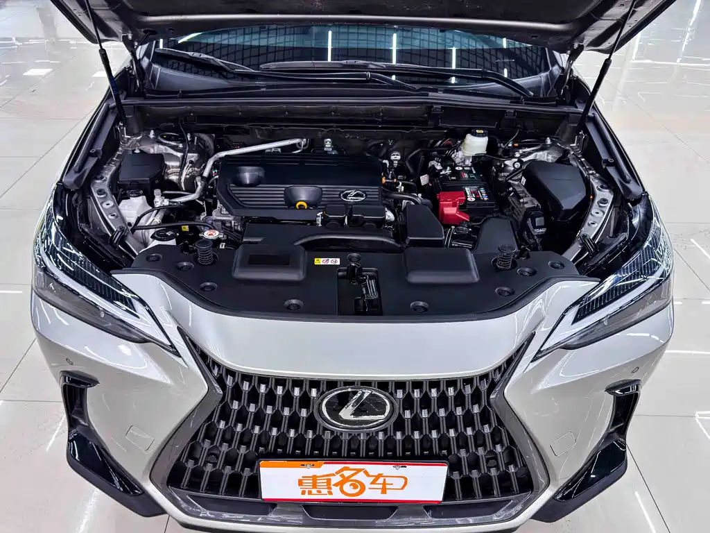 Lexus NX 2022 — фото 13