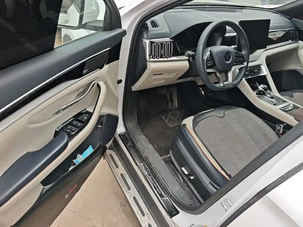 BYD PLUS New Energy — миниатюра 16