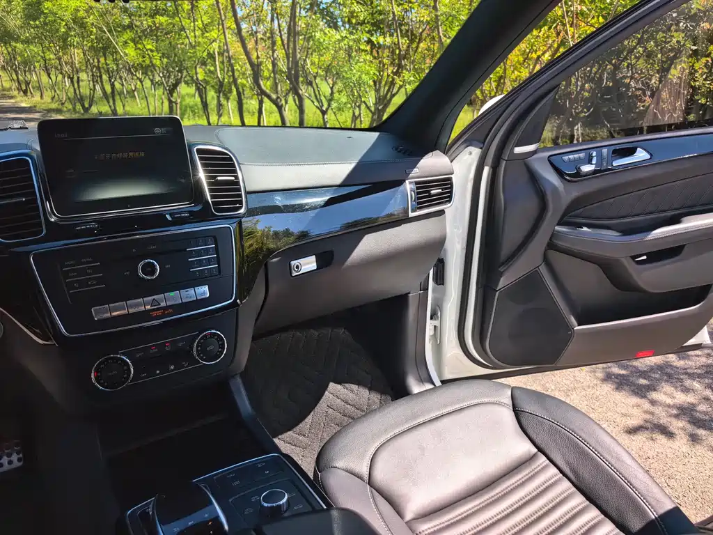 Mercedes-Benz GLS — миниатюра 24