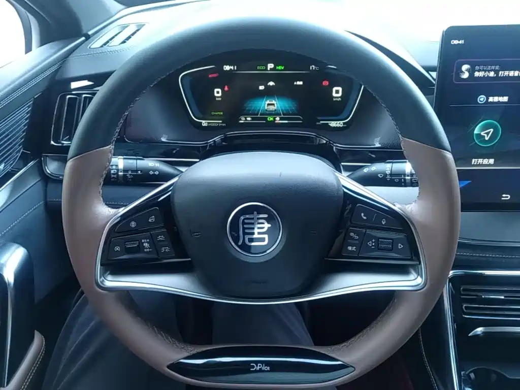 BYD Tang New Energy — миниатюра 11