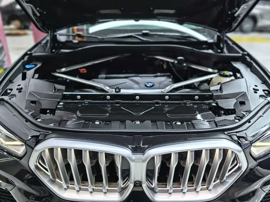 BMW X6 — миниатюра 37