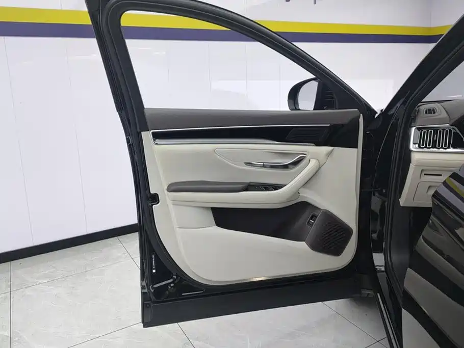 BYD PLUS New Energy — миниатюра 7