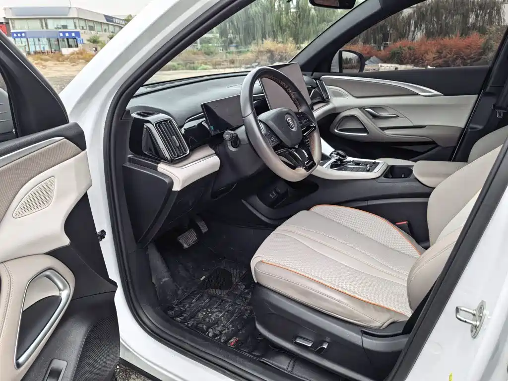 BYD Pro New Energy — миниатюра 13