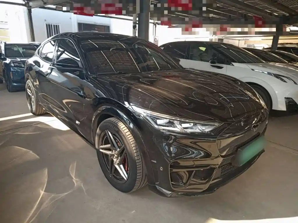 Ford Mustang Mach-E — миниатюра 4