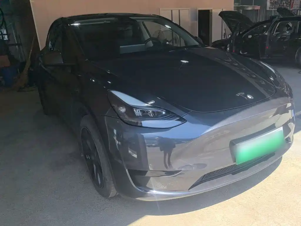 Tesla Model Y — миниатюра 4