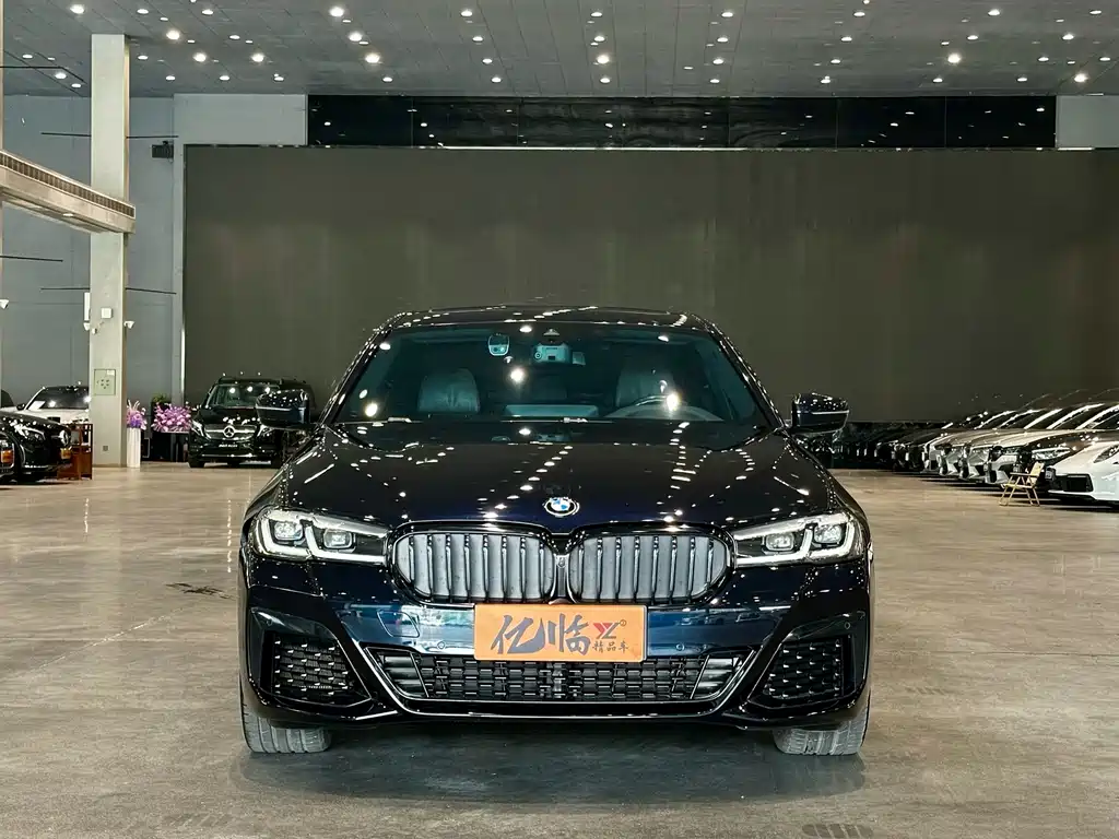 BMW 5 Series (Import) — миниатюра 2