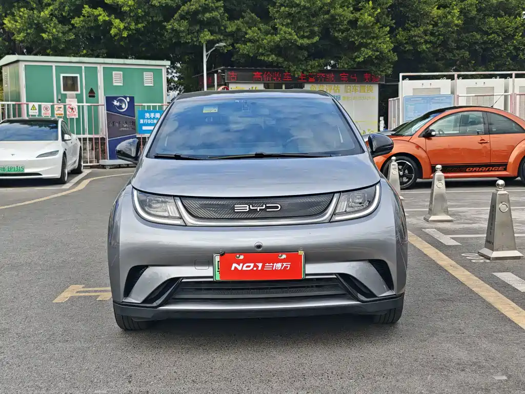 BYD Dolphin — миниатюра 2