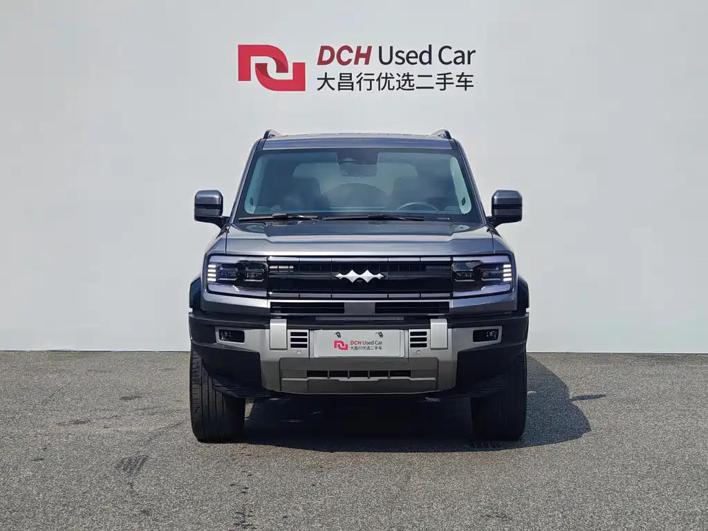 Fang Cheng Bao Leopard 5 — миниатюра 2