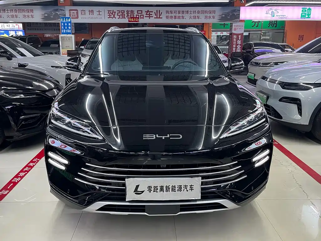 BYD PLUS New Energy — миниатюра 2